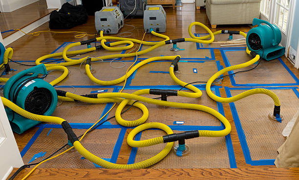 Professional Water Damage Restoration technician working in Charleston, WV