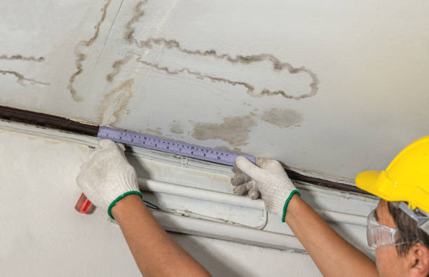 Affordable Water Damage Repair solutions in Charleston, WV